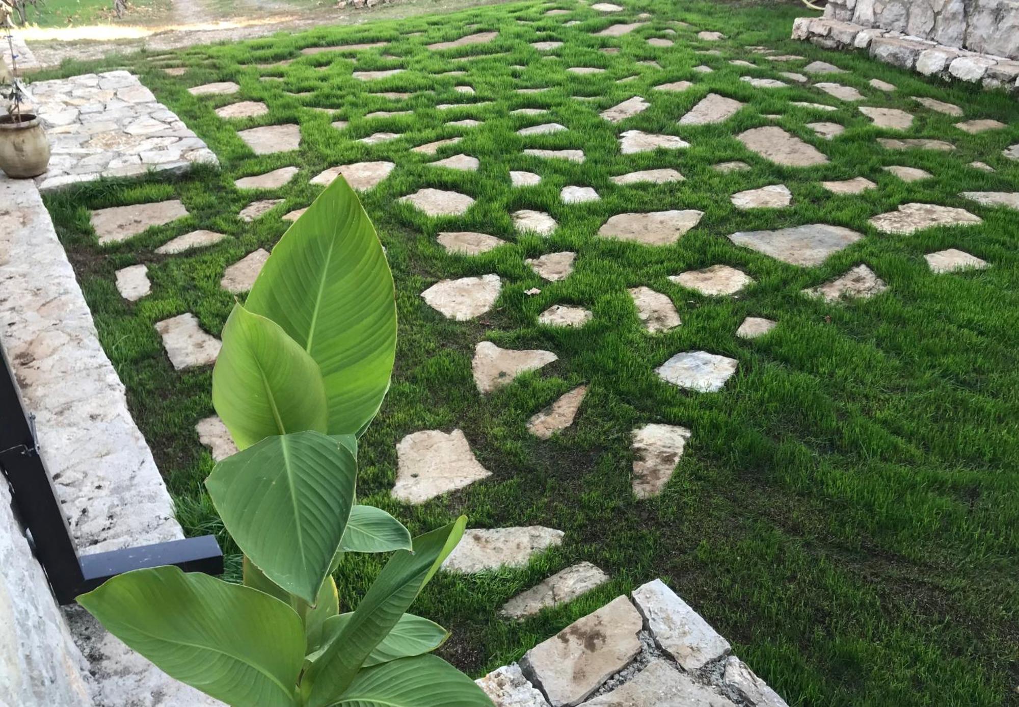 Green Silence - Vuk Podgorica Zewnętrze zdjęcie