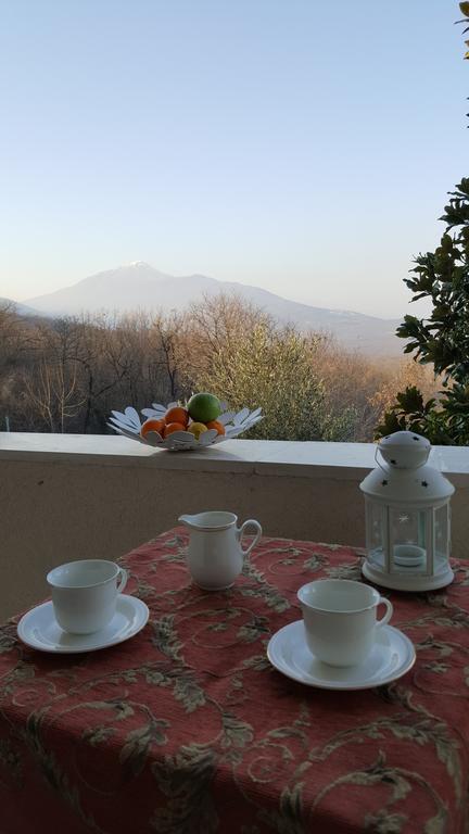 Green Silence - Vuk Podgorica Zewnętrze zdjęcie