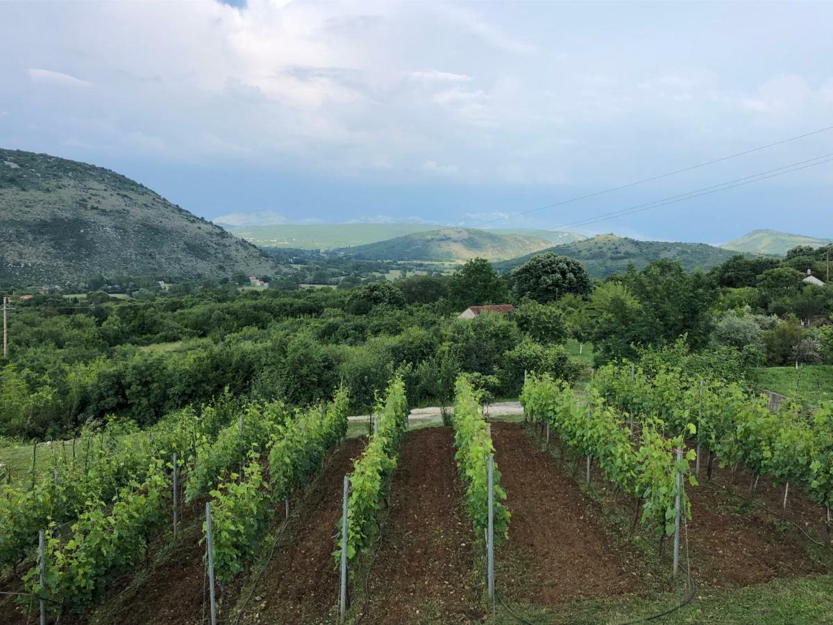Green Silence - Vuk Podgorica Zewnętrze zdjęcie