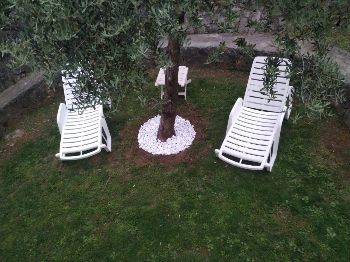Green Silence - Vuk Podgorica Zewnętrze zdjęcie
